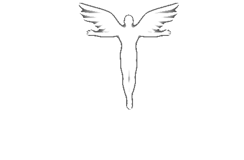 Logo 2v